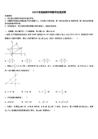 2025年陆良县中考数学仿真试卷含解析