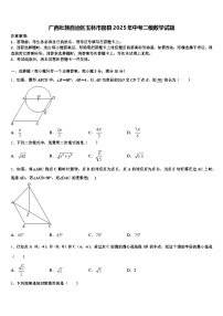 广西壮族自治区玉林市容县2025年中考二模数学试题含解析