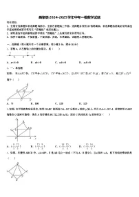 昌黎县2024-2025学年中考一模数学试题含解析