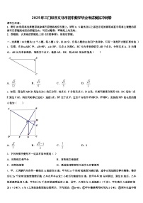 2025年三门峡市义马市初中数学毕业考试模拟冲刺卷含解析