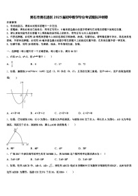 黄石市黄石港区2025届初中数学毕业考试模拟冲刺卷含解析