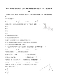 2024-2025学年四川省广安市友谊实验学校九年级（下）入学数学试卷-自定义类型
