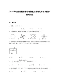 2025年陕西省榆林市中考第五次模考九年级下数学模拟试题（含答案解析）