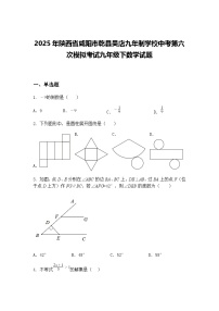 2025年陕西省咸阳市乾县吴店九年制学校中考第六次模拟考试九年级下数学试题（含答案解析）
