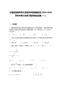 云南省昆明市师大实验中学昆明湖校区2024-2025学年中考九年级下数学模拟试卷（一）（含答案解析）