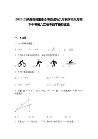 2025年陕西省咸阳市永寿县渡马九年制学校九年级下中考第六次模考数学模拟试题（含答案解析）