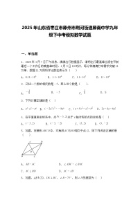 2025年山东省枣庄市滕州市荆河街道滕南中学九年级下中考模拟数学试题（含答案解析）
