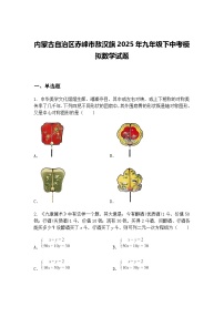 内蒙古自治区赤峰市敖汉旗2025年九年级下中考模拟数学试题（含答案解析）
