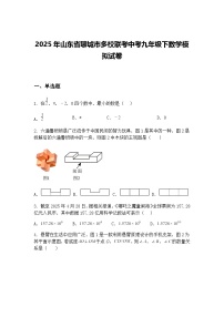 2025年山东省聊城市多校联考中考九年级下数学模拟试卷（含答案解析）