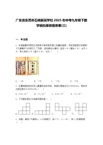 广东省东莞市石碣新民学校2025年中考九年级下数学模拟原创信息卷(三)（含答案解析）