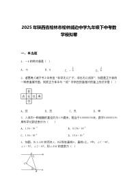 2025年陕西省榆林市榆林靖边中学九年级下中考数学模拟卷（含答案解析）
