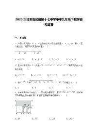 2025年甘肃省武威第十七中学中考九年级下数学模拟试卷（含答案解析）