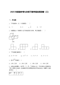 2025年新疆中考九年级下数学模拟预测卷（三）（含答案解析）