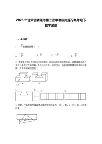 2025年甘肃省陇南市第二次中考模拟练习九年级下数学试题（含答案解析）