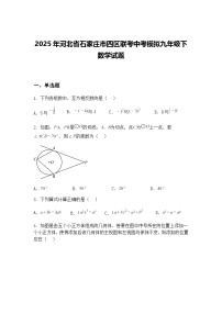 2025年河北省石家庄市四区联考中考模拟九年级下数学试题（含答案解析）
