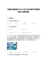 山西省大同市百校2024-2025年九年级下中考联考模拟(三)数学试卷（含答案解析）