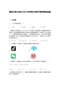 黑龙江省大庆市2025年中考九年级下数学模拟试题（含答案解析）