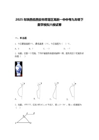 2025年陕西省西安市雁塔区高新一中中考九年级下数学模拟六模试卷（含答案解析）