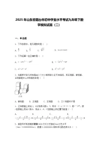 2025年山东省烟台市初中学业水平考试九年级下数学模拟试题（二）（含答案解析）
