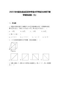 2025年内蒙古自治区初中学业水平考试九年级下数学模拟试题（七）（含答案解析）