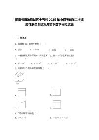 河南省固始县城区十五校2025年中招考前第二次适应性联合测试九年级下数学模拟试题（含答案解析）