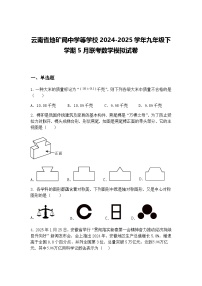 云南省地矿局中学等学校2024-2025学年九年级下学期5月联考数学模拟试卷（含答案解析）