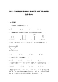 2025年陕西省初中学业水平考试九年级下数学模拟信息卷(A)（含答案解析）