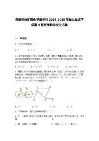 云南省地矿局中学等学校2024-2025学年九年级下学期4月联考数学模拟试卷（含答案解析）