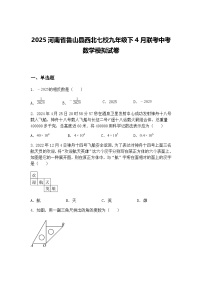 2025河南省鲁山县西北七校九年级下4月联考中考数学模拟试卷（含答案解析）