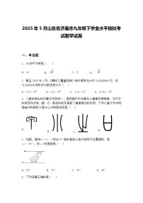 2025年5月山东省济南市九年级下学业水平模拟考试数学试题（含答案解析）