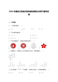 2025年黑龙江省哈尔滨市模拟预测九年级下数学试题（含答案解析）
