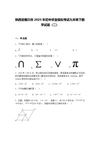 陕西省铜川市2025年初中毕业模拟考试九年级下数学试题（二）（含答案解析）