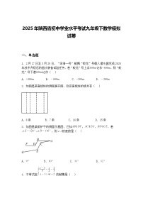 2025年陕西省初中学业水平考试九年级下数学模拟试卷（含答案解析）