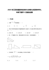 2025年江苏省南通市如皋市九华镇九华初级中学九年级下数学5月模拟试卷（含答案解析）
