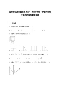 吉林省松原市前郭县2024~2025学年下学期九年级下第四次模拟数学试题（含答案解析）
