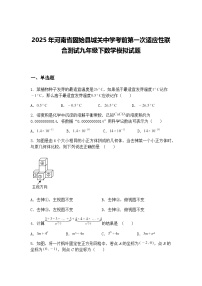 2025年河南省固始县城关中学考前第一次适应性联合测试九年级下数学模拟试题（含答案解析）