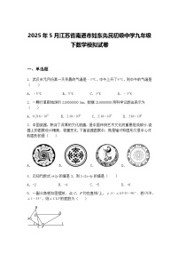 2025年5月江苏省南通市如东先民初级中学九年级下数学模拟试卷（含答案解析）