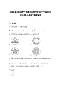 2025年山东省枣庄市滕州市初中学业水平考试模拟试题(四)九年级下数学试题（含答案解析）