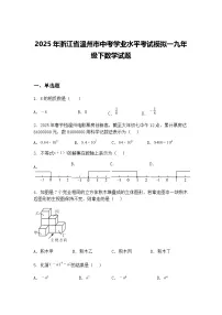 2025年浙江省温州市中考学业水平考试模拟一九年级下数学试题（含答案解析）