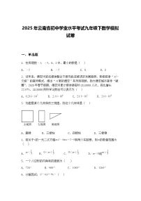 2025年云南省初中学业水平考试九年级下数学模拟试卷（含答案解析）
