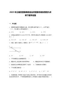 2025年云南省楚雄彝族自治州楚雄市模拟预测九年级下数学试题（含答案解析）