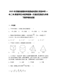 2025年河南省信阳市淮滨县城关四校中招考前第一次适应性测试九年级下数学模拟试题（含答案解析）