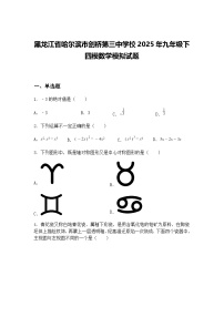 黑龙江省哈尔滨市剑桥第三中学校2025年九年级下四模数学模拟试题（含答案解析）