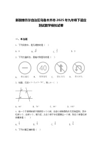 新疆维吾尔自治区乌鲁木齐市2025年九年级下适应测试数学模拟试卷（含答案解析）