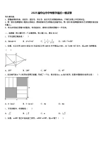 2025届中山市中考数学最后一模试卷含解析