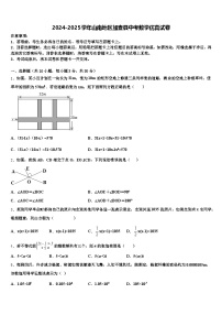 2024-2025学年山南地区加查县中考数学仿真试卷含解析