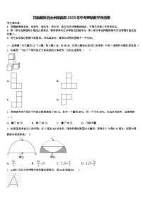 甘南藏族自治州碌曲县2025年中考押题数学预测卷含解析