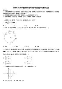2024-2025学年廊坊市霸州市中考适应性考试数学试题含解析