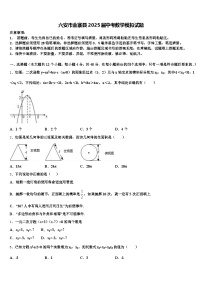 六安市金寨县2025届中考数学模拟试题含解析