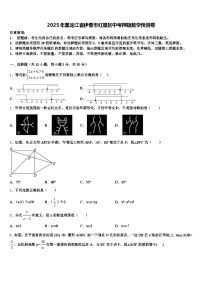 2025年黑龙江省伊春市红星区中考押题数学预测卷含解析